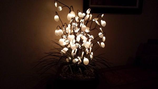 One of our pleasing to the eye decor.