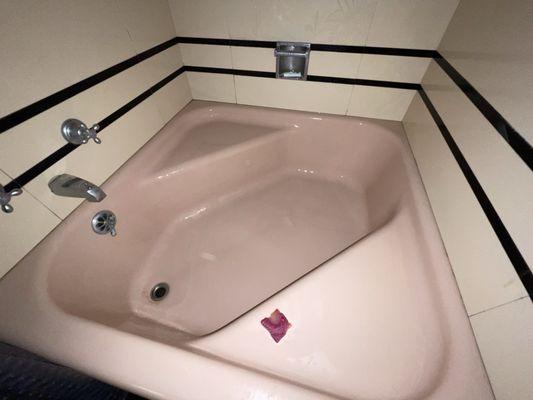 Eileen’s Essentials Cleaning Service