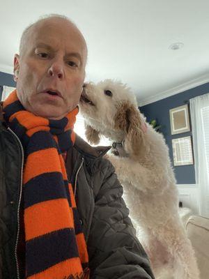 Pets & Paws Dog Walking