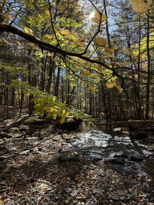 Marshalls Falls Park