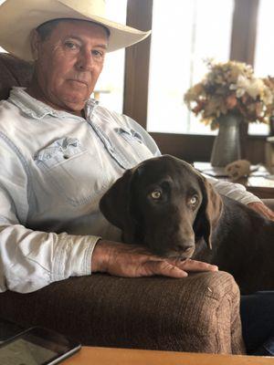 Texas Labrador Retrievers