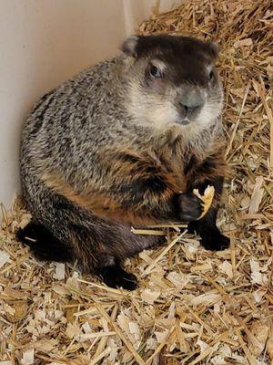 Valley of the Kings Sancturary & Retreat