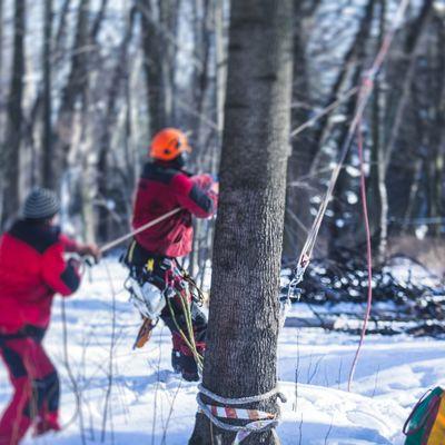Yes, we work year-round, in both snow and summer heat, for clients who insist on green, clean and beautiful.