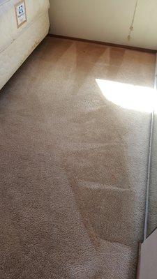 Dollar Carpet Cleaning