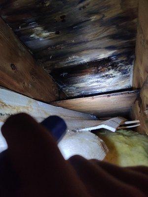 Energy Service Experts