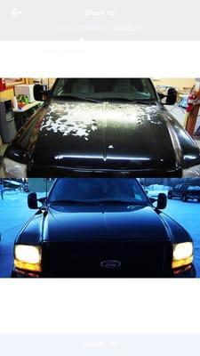 Looks like a brand new hood! Thanks College Collision!!!