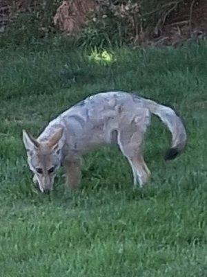 Village Retirement Center