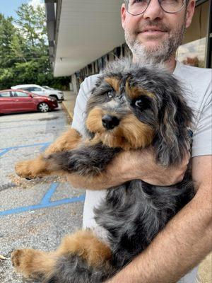 The Paw Parlour Dog Grooming
