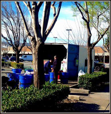 The shipping container recycling center with blue collecting bins and weigh station visible.