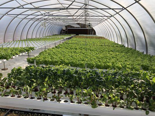 Anders Family Farms LLC