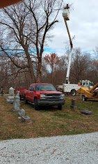 Shawn Ault's Tree Service