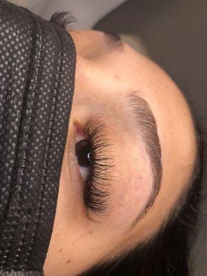 Voluminous Lashes