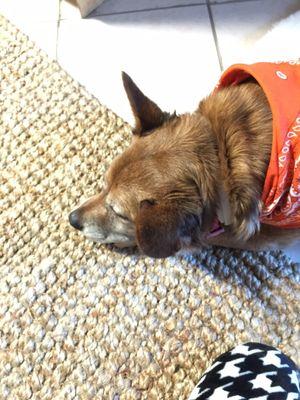 Cheap Movers in Hayward