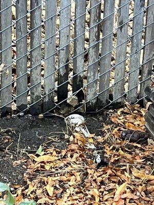 World Marine Estates