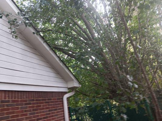 Brundy's In And Out Home Solutions