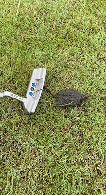 Gravel Pit Golf Course