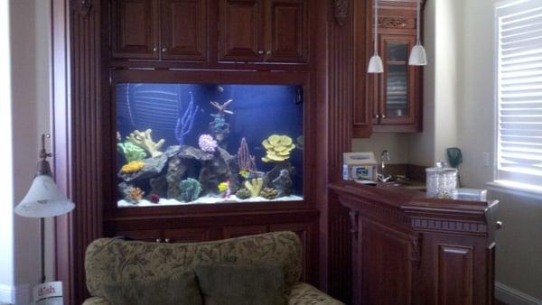 Advanced Custom Aquarium
