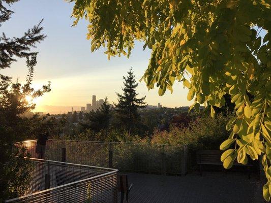 Mt. Baker Ridge Viewpoint