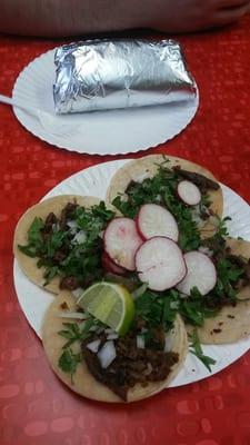 Taqueria El Taco Maestro