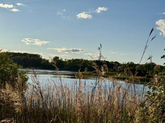 Mallard Lake County Forest Preserve