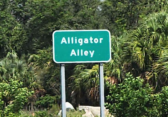 Alligator Alley