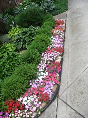 Landscaping Made Simple