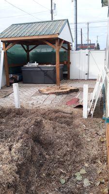 BirdDog MNGT/The Wood Guy