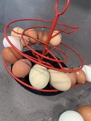 Hawthorne Country Store