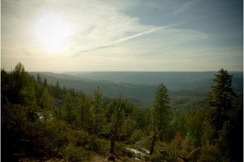 Benchmark Environmental Services