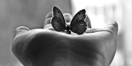 White Butterfly Readings