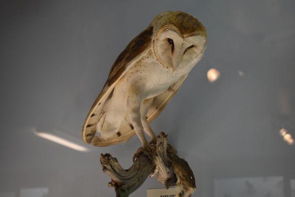 Malheur National Wildlife Refuge