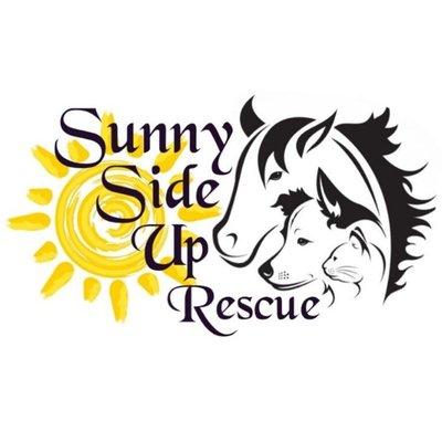Sunny Side Up Rescue