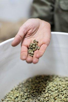 Bonfire Coffee Roaster