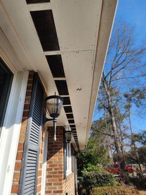 Monster Wildlife Removal