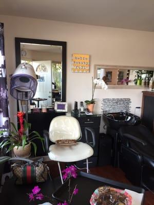Mark Todd Salon