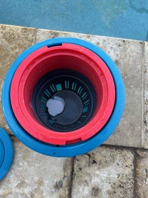 Desert Bloom Pool Care