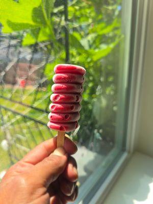 Sample kids popscicle.