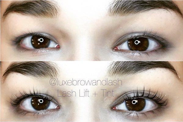 LUXE Brow + Lash