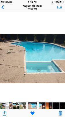 Aqua-Delics Custom Pools