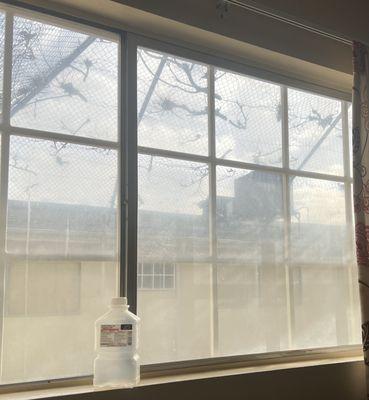 The view out my window! Remind you of anything?