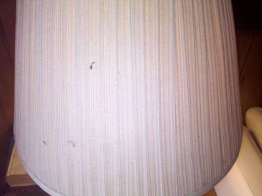 G V L Cozy Cabin Rentals