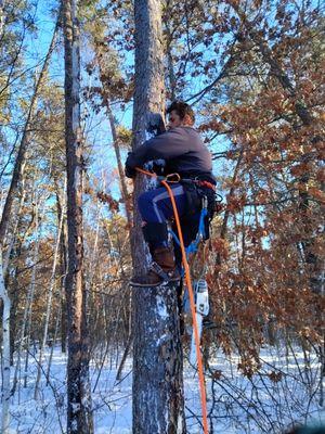 Garden Of Eden Tree Care and Landscaping