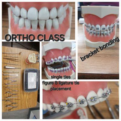 The Valley School for Dental Assisting