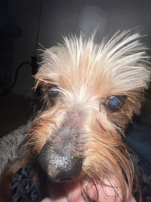 Deep Creek Veterinary Hospital