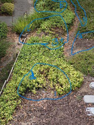 Left sde: Varsity workers ONlY, Serpico and Prime delivery workers to deliver.