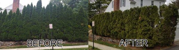 Torres Landscaping & Masonry