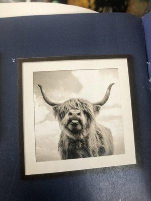 Arbor Pointe Veterinary Hospital