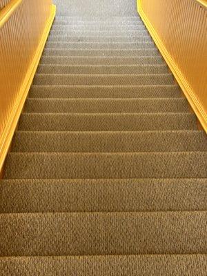 Maintaining clean steps for business customer
 
 Cleaning with a smile!!!!