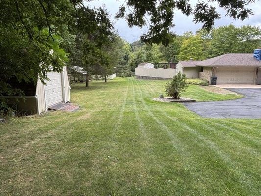 Pure Lawn Solutions