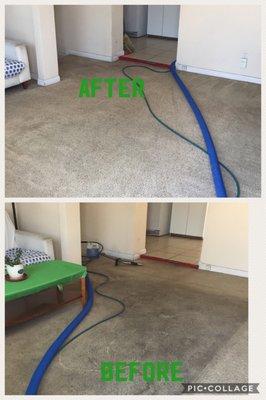 Natural Solutions Cleaning Services